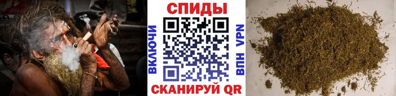 Бутират жидкий экстази  Купить закладки  Мураши 