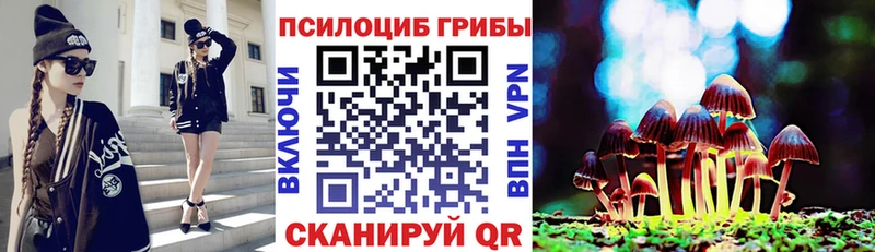 Псилоцибиновые грибы мухоморы  Купить где  Мураши 