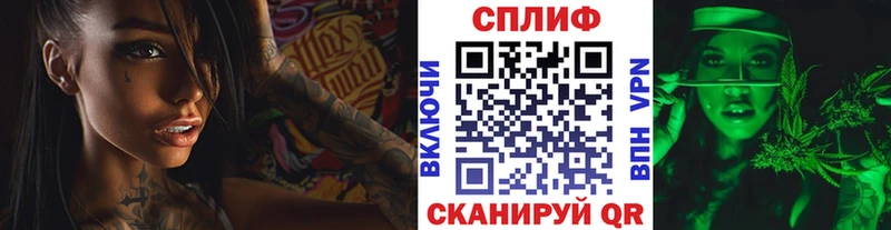 Купить где  Мураши  Шишки марихуана THC 21% 